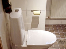 Kylpyhuonesaneeraus - II Vanhaistentie, Helsinki